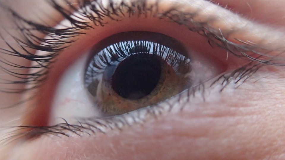 Cataract Eye Drops